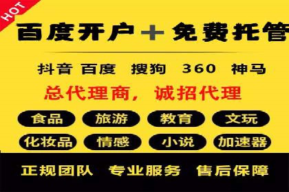 SEM搜索引擎优化策略解析与应用案例
