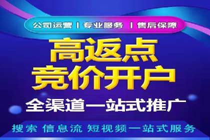 百度竞价投放技巧：行业领先企业的成功策略案例